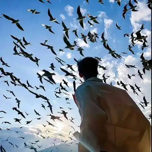 6686体育签约作者苏璃陌