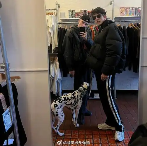 6686体育钻石作者猫咪尾巴