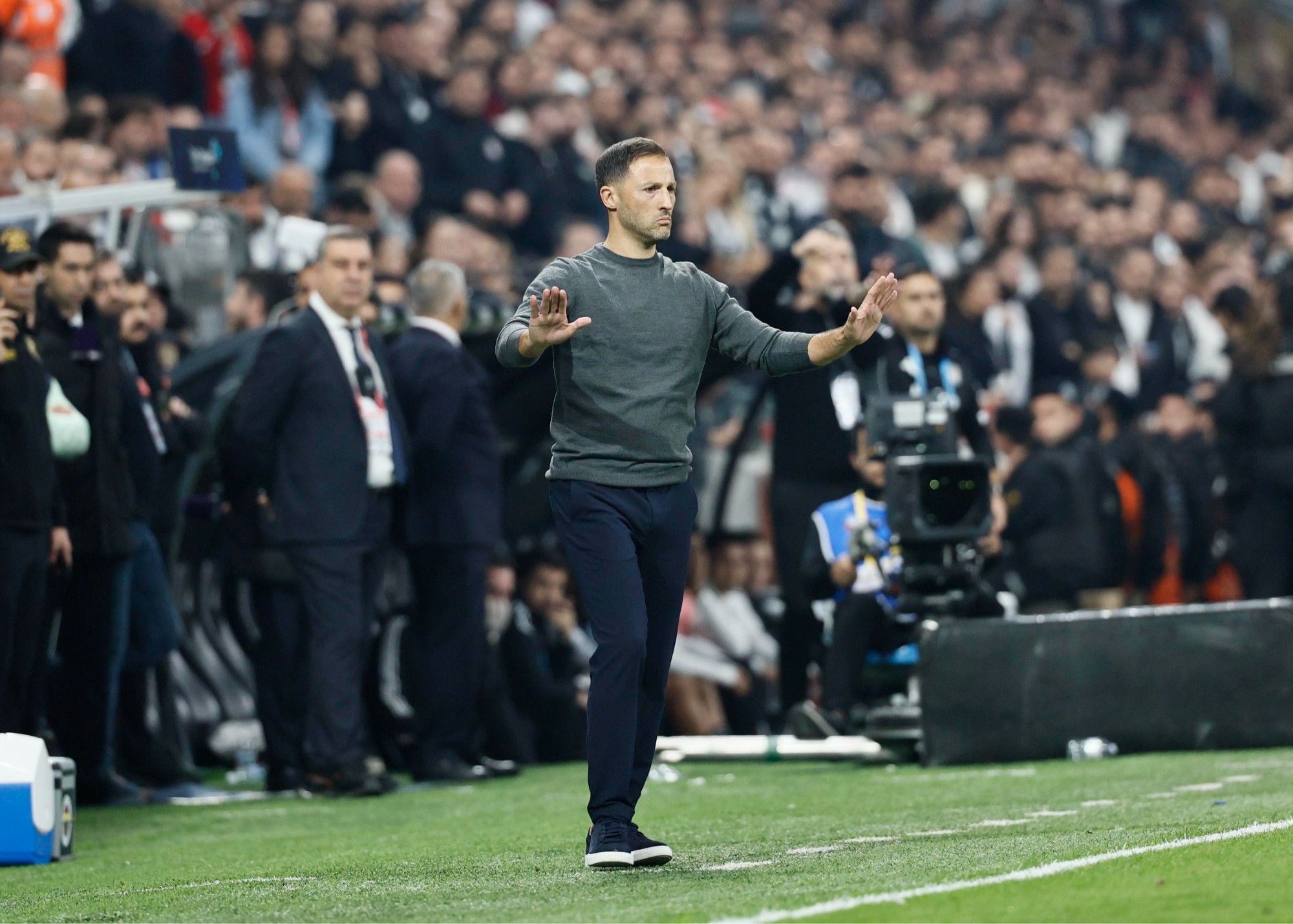 Турецкие СМИ: Руководство «Фенербахче» намерено помиловать Кахвича и Брауна, но Тедеско отклонил это предложение